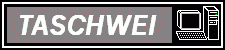 Das Logo von Taschwei Web Design
